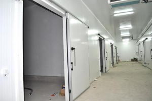 Entrepôt frigorifique,douze chambres froides