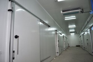 Entrepôt frigorifique,douze chambres froides